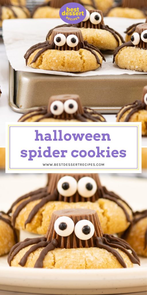collage of halloween spider cookies for pinterest