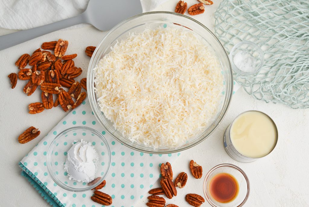 overhead shot of no-bake coconut balls ingredients