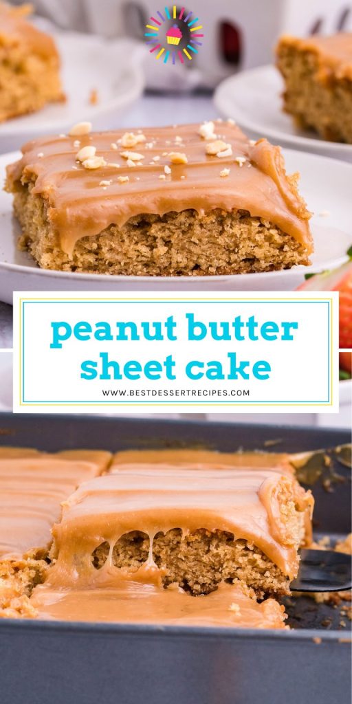collage of peanut butter sheet cake for pinterest